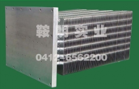 Flameproof heat pipe radiator